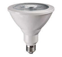 Светодиодная (LED) лампа Jazzway PPG PAR38 AGRO 15W Е27 (5004702)