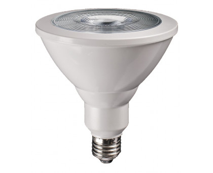 Светодиодная (LED) лампа Jazzway PPG PAR38 AGRO 15W Е27 (5004702)