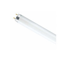 Люминесцентная лампа OSRAM СМ L36/640 G13 36 Вт Холодный белый свет (4008321959713)