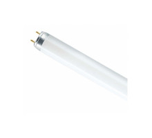 Люминесцентная лампа Osram L30W/765 G13 30 Вт Дневной белый свет (4008321959706)