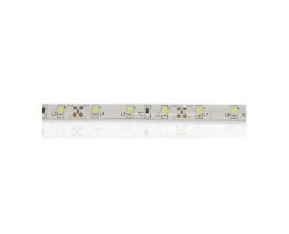 Светодиодная (LED) лента ICLED 12В 3528 60 led/m IP65 4,8 Вт/м (28663) Холодный белый свет