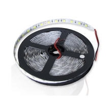 Светодиодная (LED) лента ICLED 24В 5050 60 led/m IP33 14,4 Вт/м (30082) Холодный белый свет