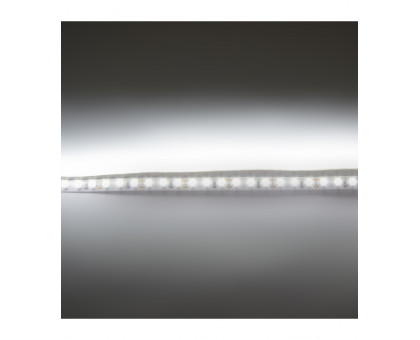 Светодиодная (LED) лента ICLED 12В 3528 120 led/m IP33 9,6 Вт/м (30902) Холодный белый свет
