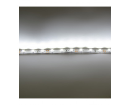 Светодиодная (LED) лента ICLED 12В 3528 60 led/m IP33 4,8 Вт/м (30913) Холодный белый свет