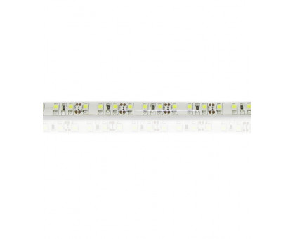 Светодиодная (LED) лента ICLED 12В 3528 120 led/m IP65 9,6 Вт/м (30921) Холодный белый свет