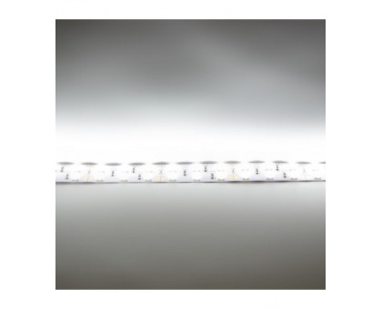 Светодиодная (LED) лента ICLED 24В 5050 120 led/m IP33 28,8 Вт/м (30996) Холодный белый свет