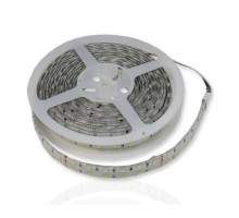 Светодиодная (LED) лента ICLED 24В 5050 120 led/m IP65 28,8 Вт/м (31002) RGBW свет