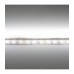 Светодиодная (LED) лента ICLED 12В 5050 60 led/m IP33 14,4 Вт/м (31029) Дневной белый свет