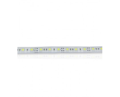 Светодиодная (LED) лента ICLED 24В 5050 60 led/m IP68 14,4 Вт/м (31097) Холодный белый свет