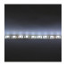 Светодиодная (LED) лента ICLED 24В 5050 60 led/m IP65 14,4 Вт/м (51675) Холодный белый свет