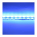 Светодиодная (LED) лента ICLED 12В 5050 60 led/m IP33 14,4 Вт/м (52719) Синий свет