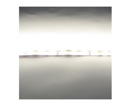 Светодиодная (LED) лента ICLED 12В 2835 60 led/m IP33 12 Вт/м (53312) Теплый белый свет