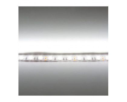Светодиодная (LED) лента ICLED 12В 5050 60 led/m IP33 14,4 Вт/м (54327) Дневной белый свет