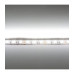 Светодиодная (LED) лента ICLED 12В 5050 60 led/m IP33 14,4 Вт/м (54327) Дневной белый свет