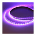 Светодиодная (LED) лента ICLED 24В 5050 60 led/m IP33 20 Вт/м (56078) RGBDW свет