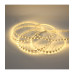 Светодиодная (LED) лента ICLED 12В 2835 60 led/m IP33 12 Вт/м (57483) Теплый белый свет