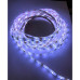 Светодиодная (LED) лента 12В 2835 Jazzway PLS 2835/60-White-IP65 6 Вт/м (2859013) Холодный белый свет