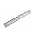 Светодиодная (LED) лента 220В 2835 Jazzway MVS-2835/60-IP68-220V-6500K-W-1m 3,8 Вт/м (5004252) Холодный белый свет