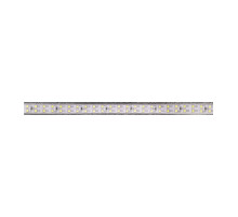 Светодиодная (LED) лента 220 Вольт Navigator NLS-2835СW180-10-IP67-220V R20 10 Вт/м (61646) Дневной белый свет