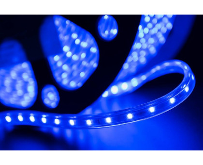 Светодидодная (LED) лента SWG 220В 3528 LT360-B-100 4,8 Вт/м (001105) Синий свет