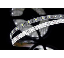 Светодидодная (LED) лента SWG 12В 5050 SWG560-12-14.4-W-65 14,4 Вт/м 6000-6500K (000064) Холодный белый свет