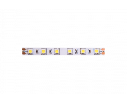 Светодидодная (LED) лента SWG 24В 5050 SWG560-24-14.4-W 14,4 Вт/м 6000-6500K (000043) Холодный белый свет