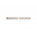Светодидодная (LED) лента SWG 24В 5050 SWG560-24-14.4-W 14,4 Вт/м 6000-6500K (000043) Холодный белый свет