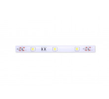 Светодидодная (LED) лента SWG 12В 5050 SWG530-12-7.2-W-65 7,2 Вт/м 6000-6500K (000077) Холодный белый свет