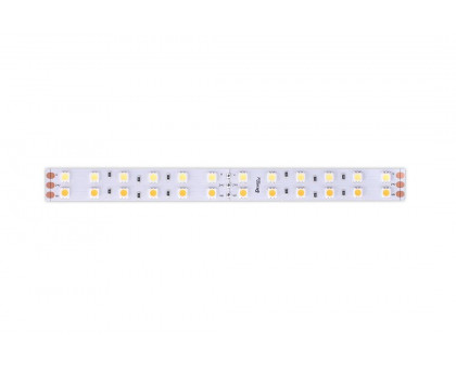 Светодидодная (LED) лента DesignLed 24В 5050 DSG5120-24-W+WW-33 28,8 Вт/м 3000-6000K (000515) Теплый белый + холодный белый свет