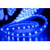 Светодидодная (LED) лента SWG 220В 3528 LT360-B-100 4,8 Вт/м (001105) Синий свет