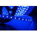 Светодидодная (LED) лента SWG 220В 5050 LT560-B-50 14,4 Вт/м (000942) Синий свет