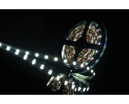 Светодидодная (LED) лента SWG 12В 3528 SWG360-12-4.8-W 4,8 Вт/м 6000-6500K (000005) Холодный белый свет