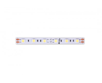 Светодидодная (LED) лента DesignLed 12В 5050 DSG560-12-W-33 14,4 Вт/м 6000K (000513) Холодный белый свет