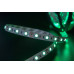 Светодидодная (LED) лента SWG 12В 5050 ECO-SWG560-12-14.4-G 14,4 Вт/м (002335) Зеленый свет