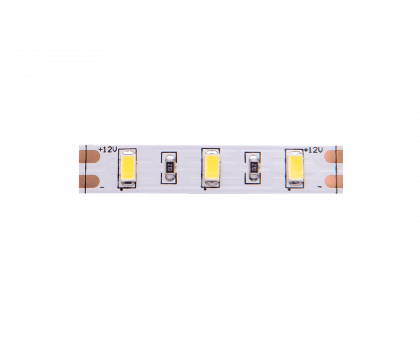 Светодидодная (LED) лента SWG 12В 5630 SWG660-12-12-NW-M 12 Вт/м 4000-4500K (009275) Дневной белый свет