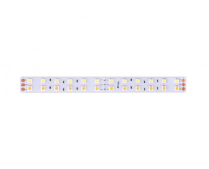 Светодидодная (LED) лента DesignLed 24В 5050 DSG5120-24-RGB+WW-33 28,8 Вт/м RGB+3000K (001134) RGB + теплый белый свет