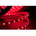Светодидодная (LED) лента SWG 220В 3528 LT360-R-100 4,8 Вт/м (001106) Красный свет