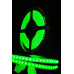 Светодидодная (LED) лента SWG 12В 3528 SWG3120-12-9.6-G-65 9,6 Вт/м (000075) Зеленый свет