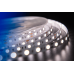 Светодидодная (LED) лента DesignLed 12В 5050 DSG560-12-NW-33 14,4 Вт/м 4000K (000517) Дневной белый свет