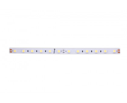 Светодидодная (LED) лента DesignLed 24В 5050 DSG560-24-W-33 14,4 Вт/м 6000K (000520) Холодный белый свет