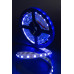 Светодидодная (LED) лента SWG 12В 5050 ECO-SWG560-12-14.4-B 14,4 Вт/м (002337) Синий свет