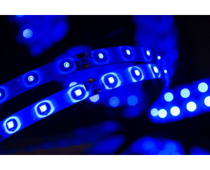 Светодидодная (LED) лента SWG 12В 3528 SWG360-12-4.8-B-65 4,8 Вт/м (000050) Синий свет
