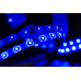 Светодидодная (LED) лента SWG 12В 3528 SWG360-12-4.8-B-65 4,8 Вт/м (000050) Синий свет