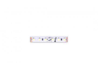 Светодидодная (LED) лента DesignLed 12В 3528 DSG3120-12-W-33 9,6 Вт/м 6000K (000525) Холодный белый свет