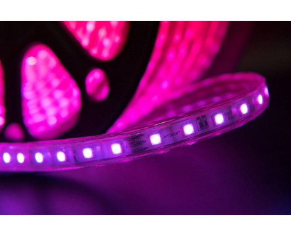 Светодидодная (LED) лента SWG 220В 5050 LT560-RGB-50 14,4 Вт/м (000939) RGB свет