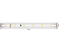 Светодидодная (LED) лента DesignLed 24В 2835 DSG260S-24-W-67 6 Вт/м 6000K (004377) Холодный белый свет