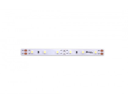 Светодидодная (LED) лента DesignLed 12В 3528 DSG360-12-W-33 4,8 Вт/м 6000K (000524) Холодный белый свет