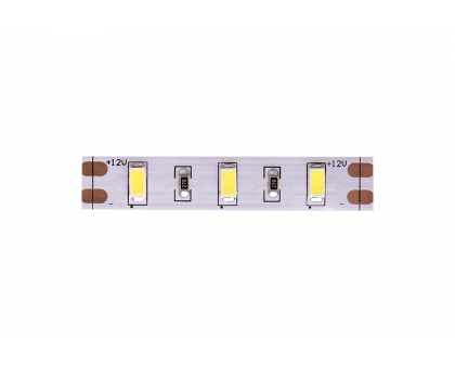Светодидодная (LED) лента SWG 12В 5630 SWG660-12-12-W-M 12 Вт/м 6000-6500K (009476) Холодный белый свет