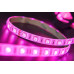 Светодидодная (LED) лента SWG 24В 5050 SWG560-24-14.4-RGB-65 14,4 Вт/м (000364) RGB свет