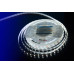 Светодидодная (LED) лента DesignLed 12В 5050 DSG560-12-W-33 14,4 Вт/м 6000K (000513) Холодный белый свет